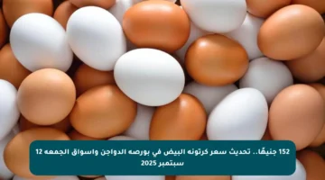 152 جنيهًا.. تحديث سعر كرتونة البيض في بورصة الدواجن وأسواق الجمعة 12 سبتمبر 2025